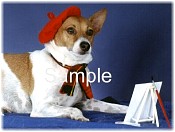 JACN02.jpg